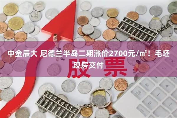 中金辰大 尼德兰半岛二期涨价2700元/㎡！毛坯现房交付