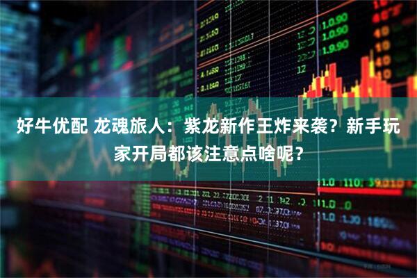 好牛优配 龙魂旅人：紫龙新作王炸来袭？新手玩家开局都该注意点啥呢？