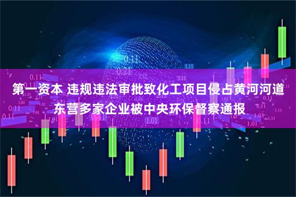 第一资本 违规违法审批致化工项目侵占黄河河道 东营多家企业被中央环保督察通报