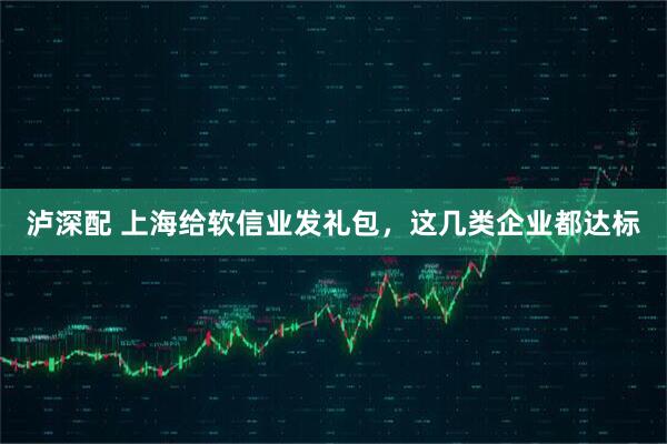 泸深配 上海给软信业发礼包，这几类企业都达标