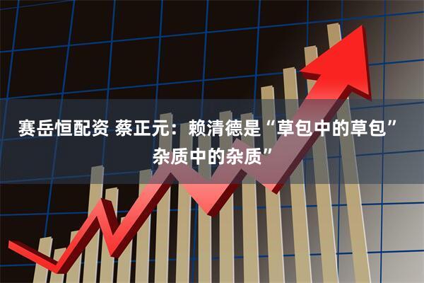 赛岳恒配资 蔡正元：赖清德是“草包中的草包” 杂质中的杂质”