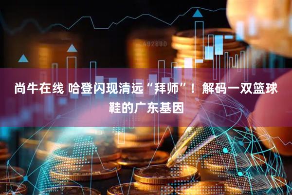 尚牛在线 哈登闪现清远“拜师”！解码一双篮球鞋的广东基因