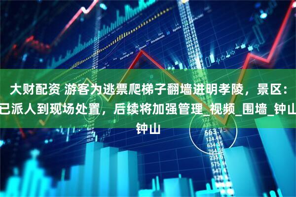 大财配资 游客为逃票爬梯子翻墙进明孝陵，景区：已派人到现场处置，后续将加强管理_视频_围墙_钟山