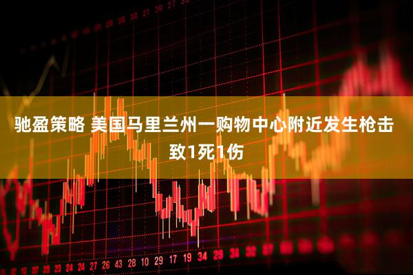 驰盈策略 美国马里兰州一购物中心附近发生枪击 致1死1伤