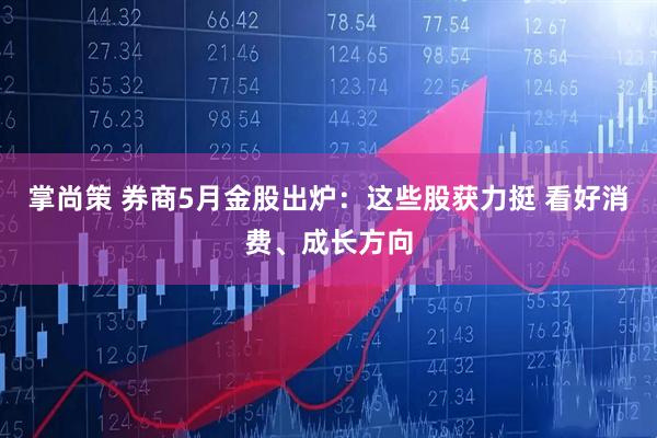 掌尚策 券商5月金股出炉：这些股获力挺 看好消费、成长方向