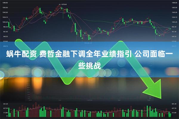 蜗牛配资 费哲金融下调全年业绩指引 公司面临一些挑战